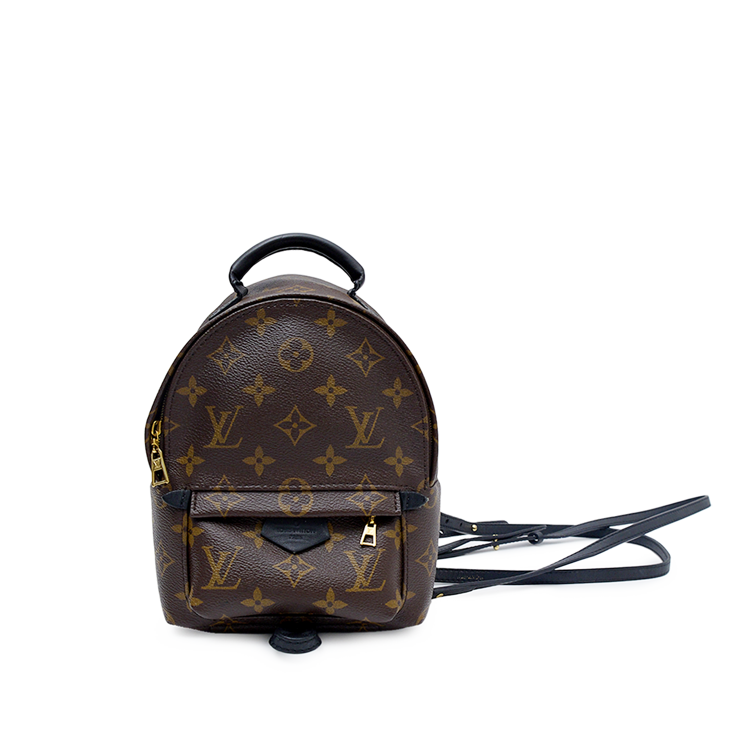 MONOGRAM PALM SPRINGS MINI BACKPACK